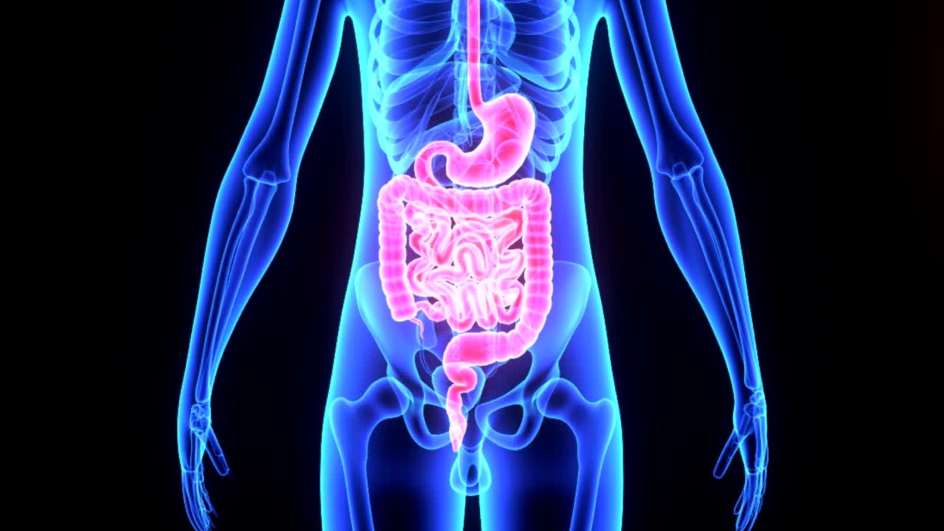 You are currently viewing L’ostéopathie et trouble digestif : Comment un ostéopathe peut vous aider